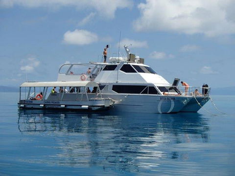 Ocean Free & Ocean Freedom - Cairns Premier Reef And Island Tours - Kempsey Accommodation 1