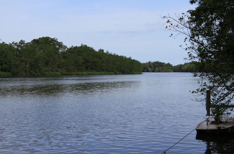 Daintree River Cruise Centre - Kempsey Accommodation 2