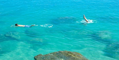 Salty Dog Sea Kayaking - Kempsey Accommodation 1