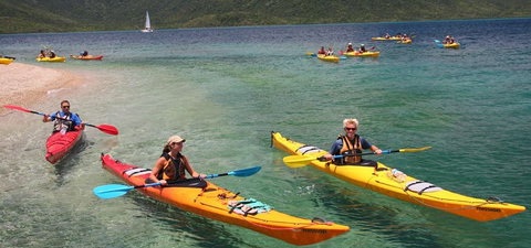 Salty Dog Sea Kayaking - Kempsey Accommodation 2