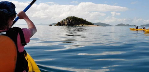 Salty Dog Sea Kayaking - Kempsey Accommodation 3