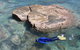 Salty Dog Sea Kayaking - thumb 6