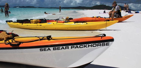 Salty Dog Sea Kayaking - Kempsey Accommodation 8