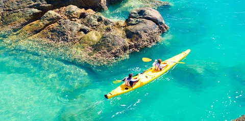 Salty Dog Sea Kayaking - Kempsey Accommodation 9