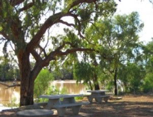 Allan Tannock Weir - Kempsey Accommodation 0