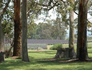 Amosfield QLD Kempsey Accommodation