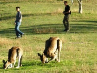 Southern Queensland Country QLD Kempsey Accommodation