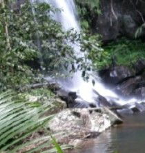 Araucaria Ecotours - Kempsey Accommodation 4