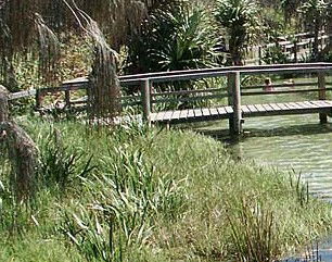 Australia Fraser Island Escape - Kempsey Accommodation 1