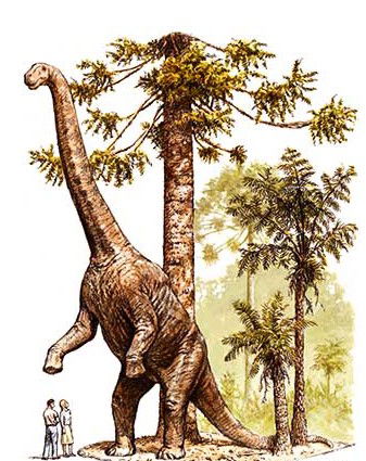 Australian Age Of Dinosaurs - Kempsey Accommodation 2