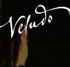 Veludo - Kempsey Accommodation