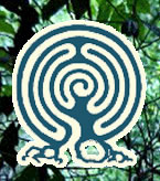 Forest Cafe & Bar - Kempsey Accommodation 2