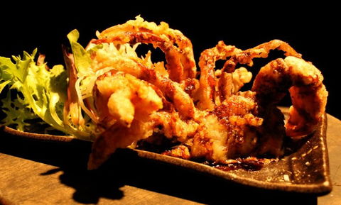 O Sushi Broadbeach - Kempsey Accommodation 3