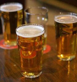 Ascot Vale Hotel - Kempsey Accommodation 0