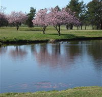 RMC Golf Club - Kempsey Accommodation