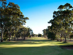 Loxton Golf Club - Kempsey Accommodation 0