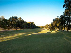 Loxton Golf Club - Kempsey Accommodation 2