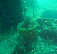 Wallaroo Scuba Club - Kempsey Accommodation
