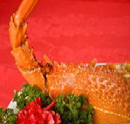 Marigold - Kempsey Accommodation