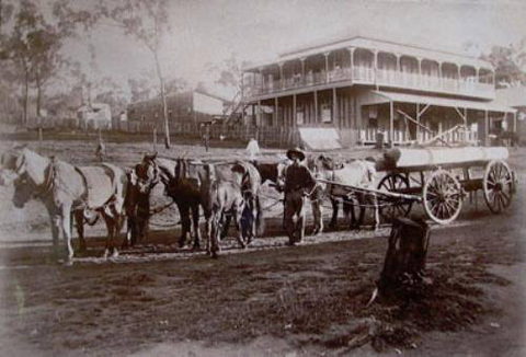 Grand Hotel Many Peaks - Kempsey Accommodation 3