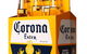 Hastings Co-operative Drive In Bottleshop - thumb 4
