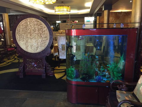 Dragon Palace - Kempsey Accommodation 4