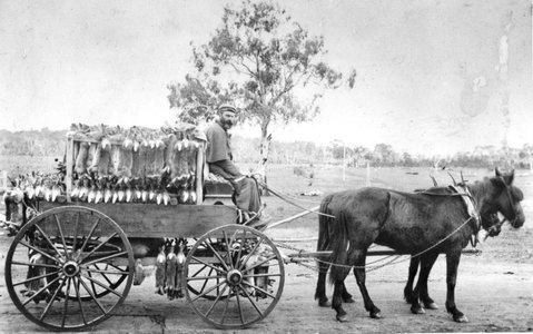A Tale Of Two Villages - An Exhibition - Kempsey Accommodation 1