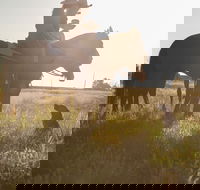 Balonne Cutting Horse Futurity - Kempsey Accommodation