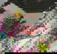 Dalgety Show - Kempsey Accommodation