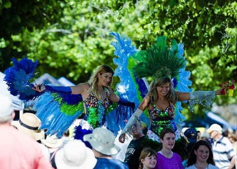Family Fun Carnivale - Kempsey Accommodation 0