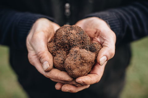 Feast And Forage - Craig's Royal Hotel - Kempsey Accommodation 0