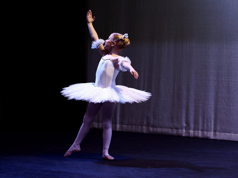 Hamilton Eisteddfod - Kempsey Accommodation 2