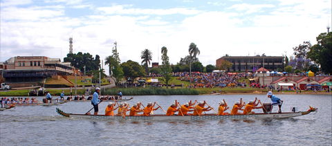 Jacaranda Dragon Boat Races - Kempsey Accommodation 0