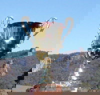 Nimbin Poetry World Cup - Kempsey Accommodation