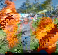 Outback Festival - Kempsey Accommodation