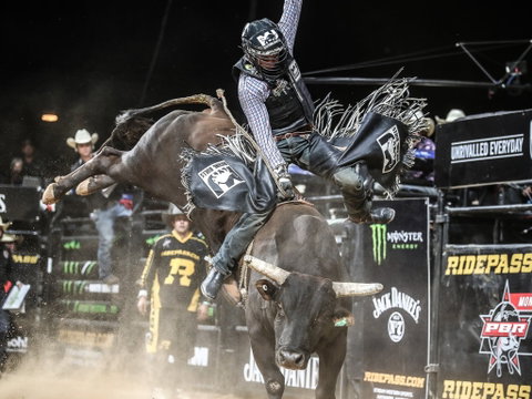 PBR Hawkesbury Stampede - Kempsey Accommodation 0