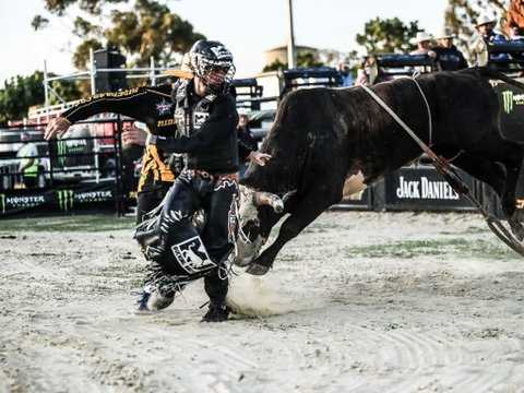PBR Hawkesbury Stampede - Kempsey Accommodation 2