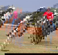 Pride of the West Races 2020 - Kempsey Accommodation