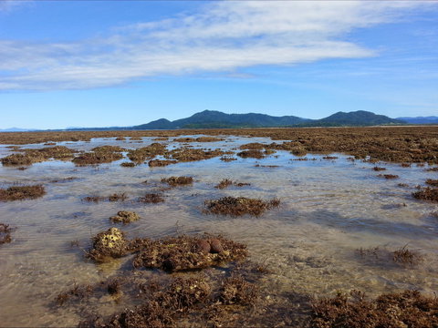 Walk To The Reef - Kempsey Accommodation 0