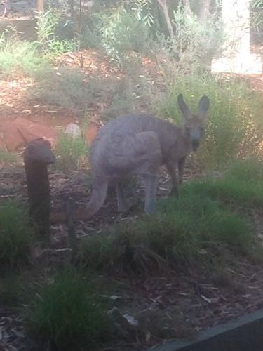 Queensland Winter Craft Festival - Kempsey Accommodation 4