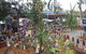 Australia Day With The Australian Gnome Convention Glenbrook - thumb 0