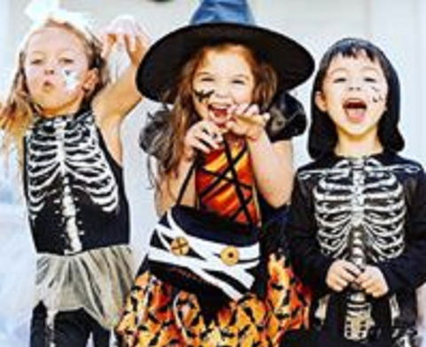 Boo! At The Zoo! - Kempsey Accommodation 2