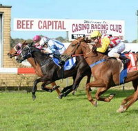 Casino Cup - Kempsey Accommodation