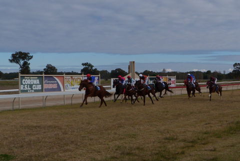 Corowa Horseraces - Kempsey Accommodation 0