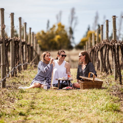 Family Picnic Weekend - Kempsey Accommodation 0