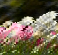 Floriade Reimagined - Kempsey Accommodation