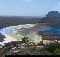 Head to Head Walk Run - Kempsey Accommodation