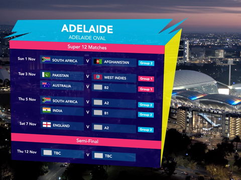 ICC Men's T20 World Cup - South Africa V Qualifier - Kempsey Accommodation 2