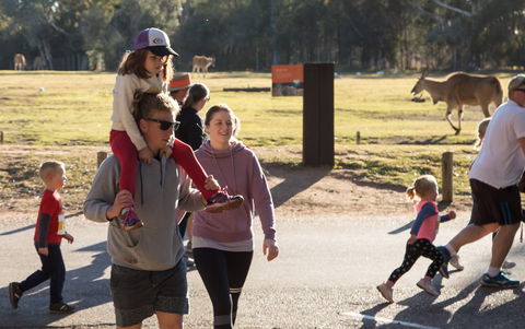 MAAS Group Dubbo Stampede Running Festival - Kempsey Accommodation 1