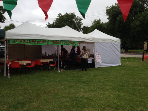 Macclesfield Strawberry Fete - Kempsey Accommodation 0